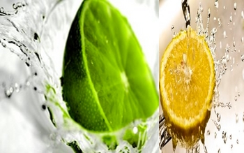 Citron et Citron Vert